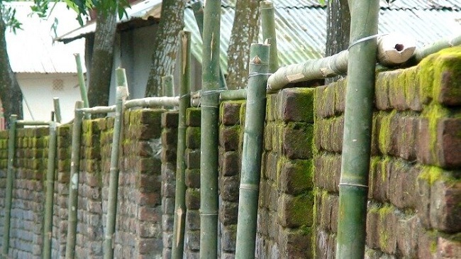 bamboo poles three