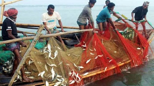 ban catch fish jatka protection