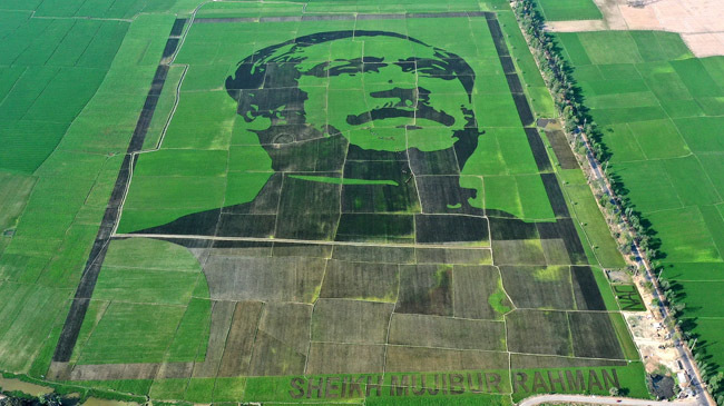 bangabandhu grain image 1