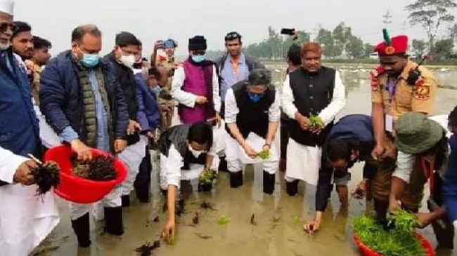 bangabandhu in field bagura