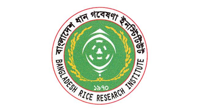 bangladesh rice research institute