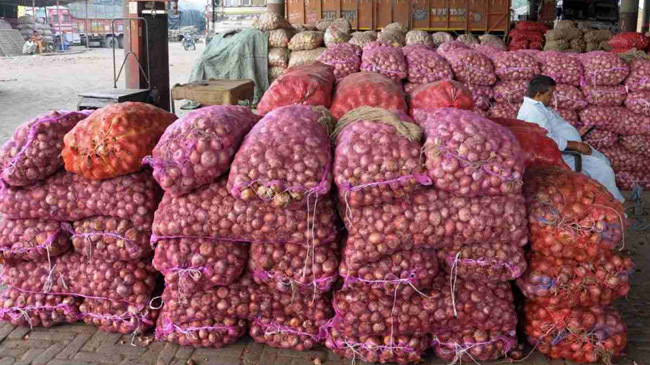 barma onion