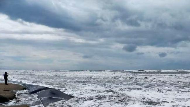 bay of bengal 2