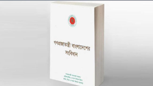 bd constituation logo