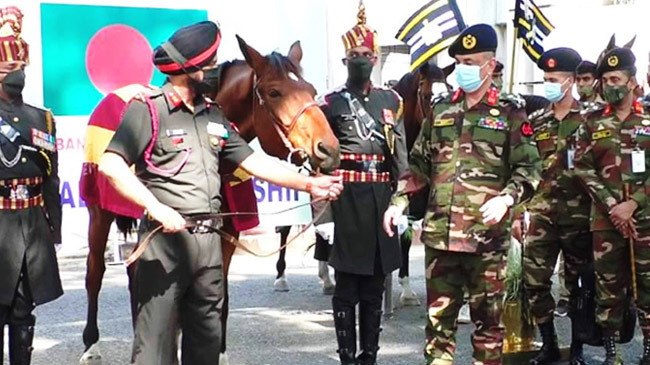 bd india army dog horse
