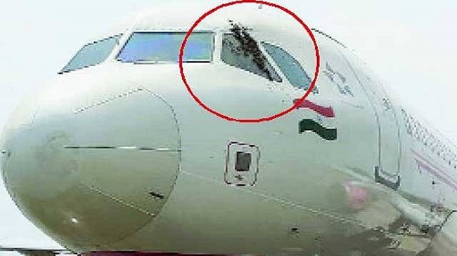 bee in air india
