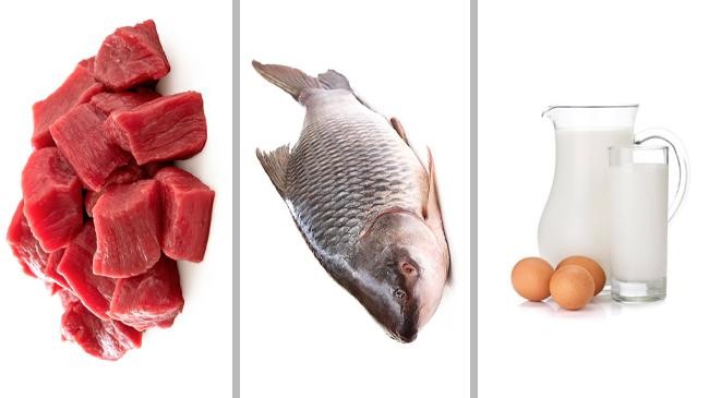 beef fish milk and egg