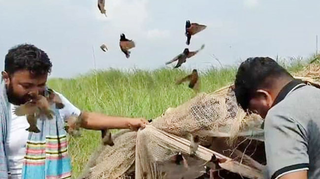 birds freed munshigonj inner