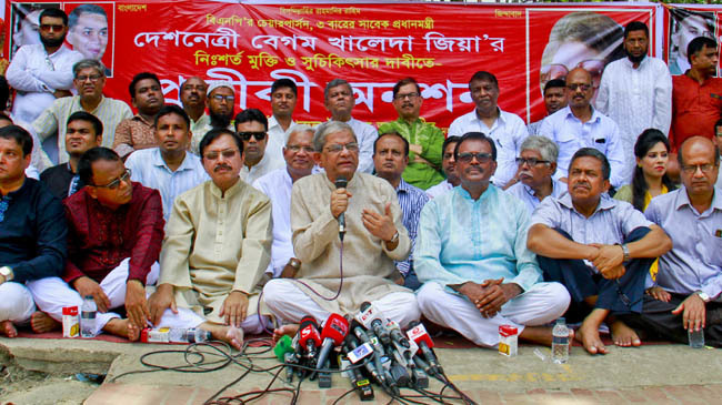 bnp activity