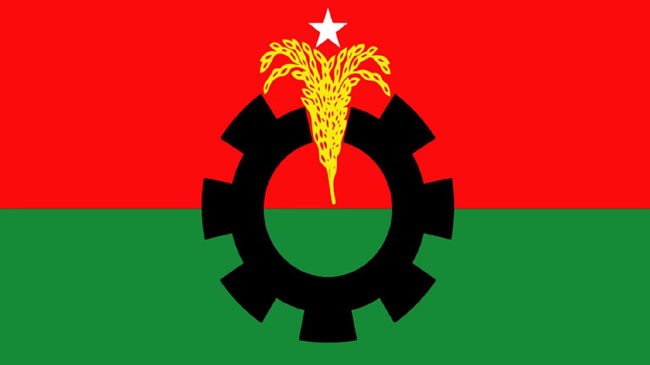 bnp logo