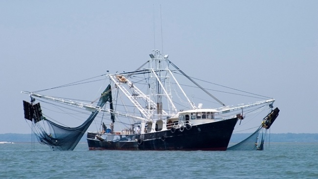 boat bay of bengal