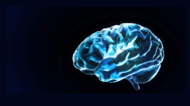 brain death