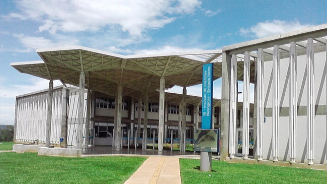 brasilia university