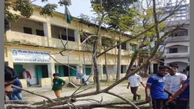 broke tree in school