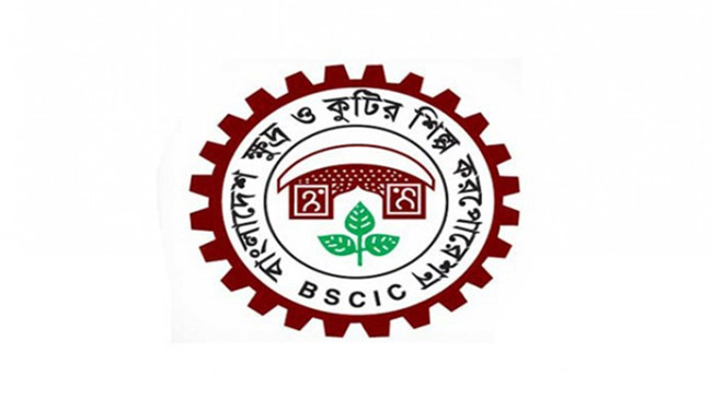 bscic logo