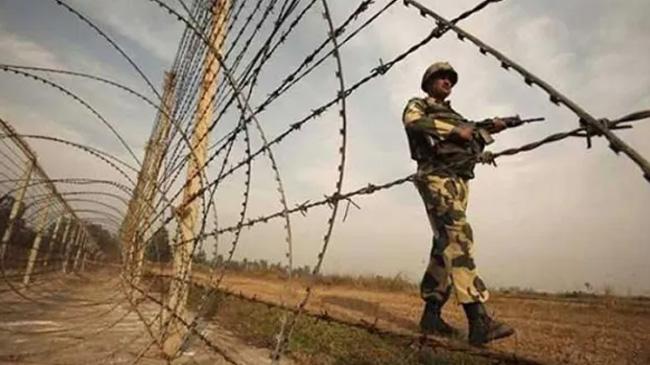 bsf image