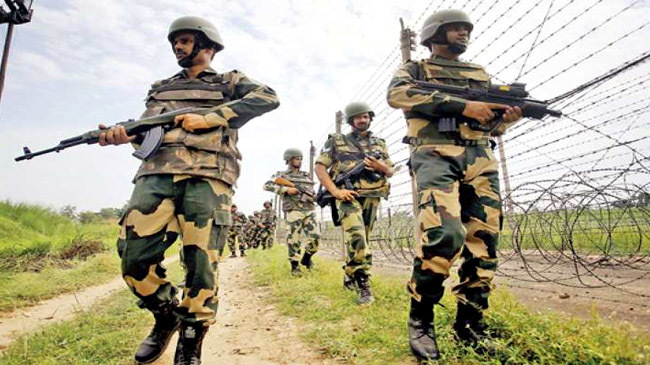 bsf kills indian