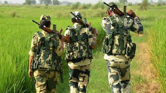 bsf shot bangaldeshi jinaidha