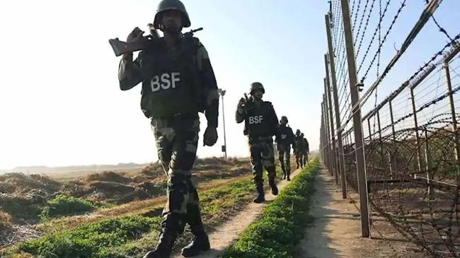 bsf 1