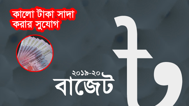 budget 2019 20 black money