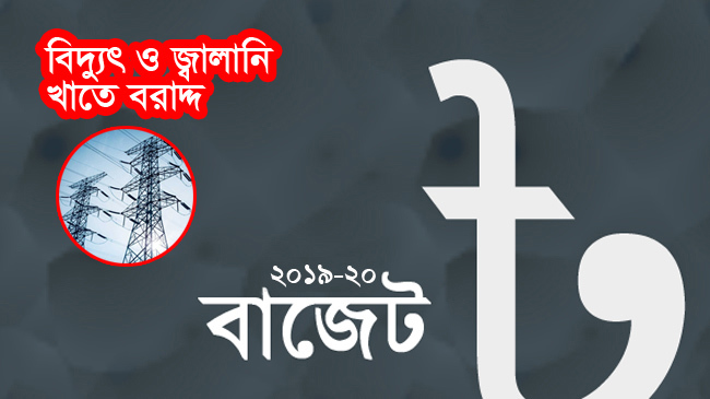 budget 2019 20 electricity and fuel 1