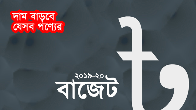budget 2019 20 high price