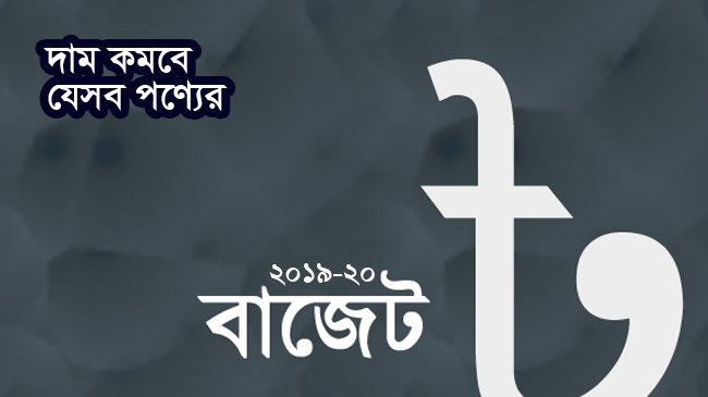 budget 2019 20 less price