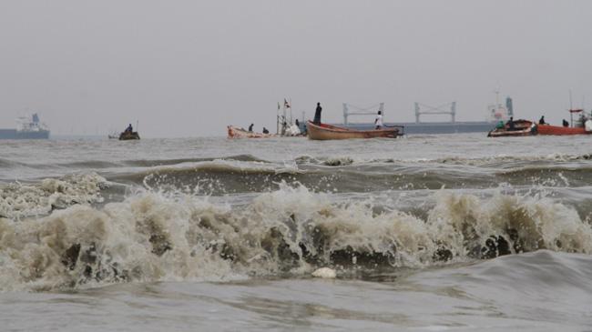 bulbul sea