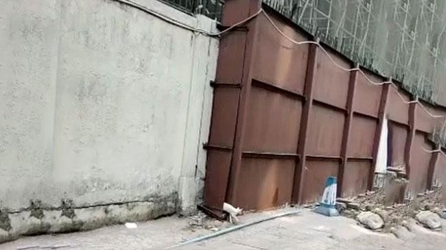 cat rescue 2