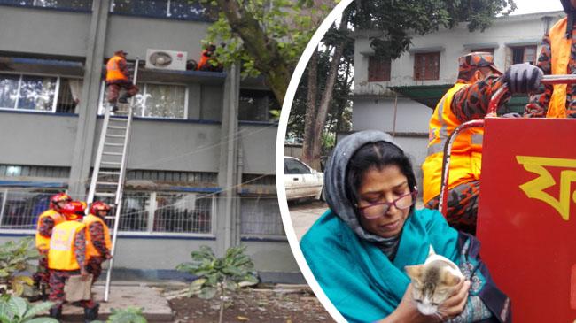 cats rescue fire service