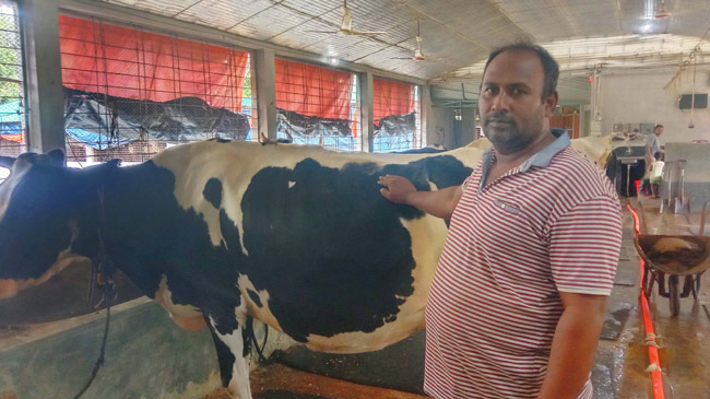 cattle farmer shah newaz