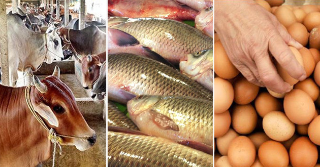 bangladesh self sufficient egg fish