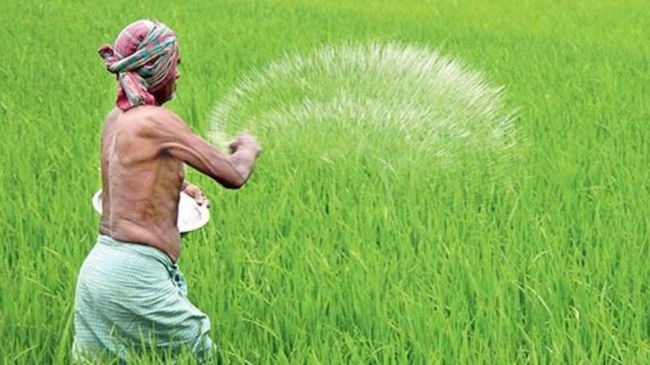 chemical fertilizers