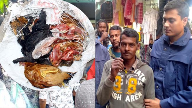 chicken dead syndicate