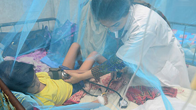 child dengue patients