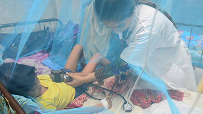 child dengue patients