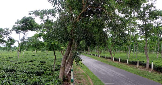 chunarughat Upazila