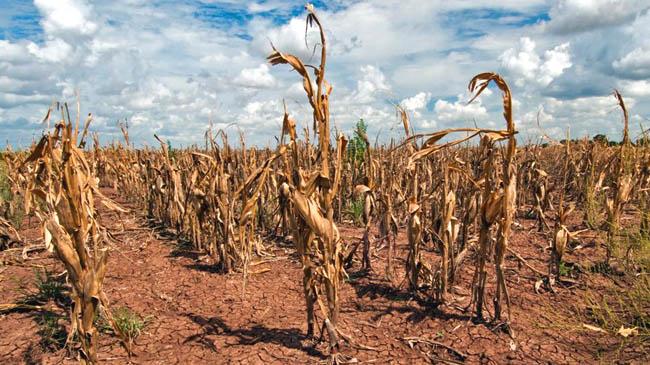 climate change devastation