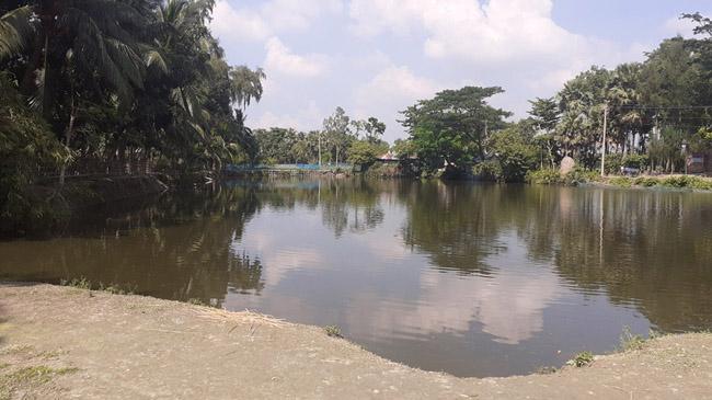 comilla monopal field