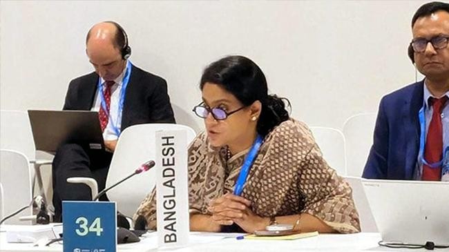 cop 29 syeda rizwana hasan