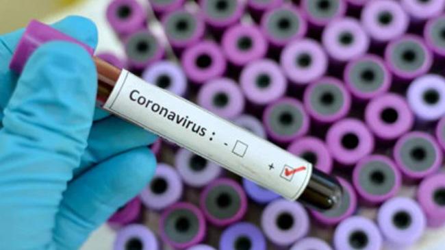 corona virus positive