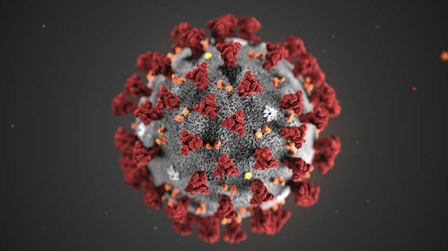 corona virus