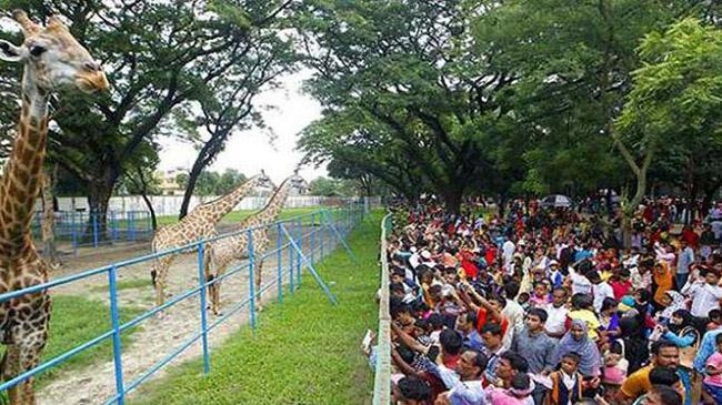 crowds at zoo