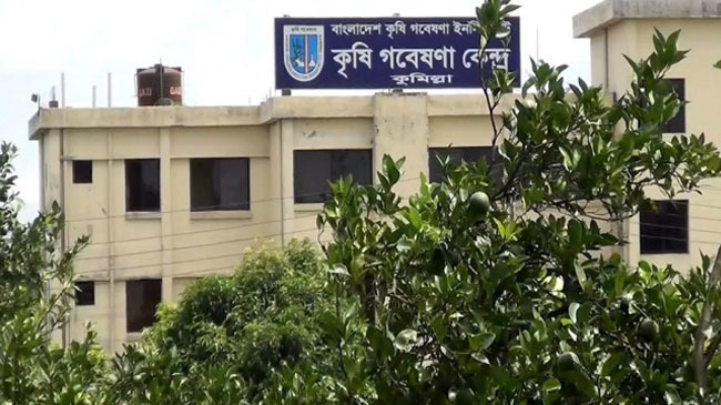 cumilla agriculture institute