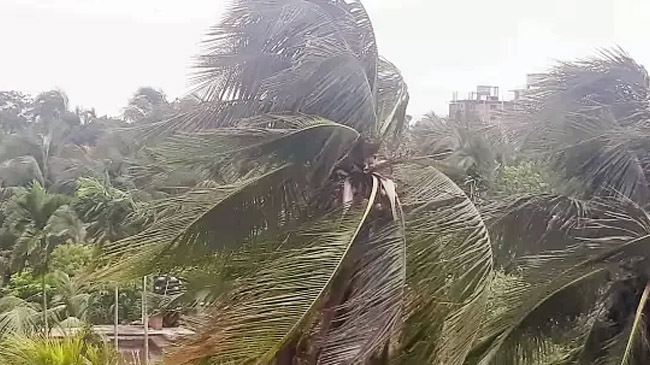cyclone 01
