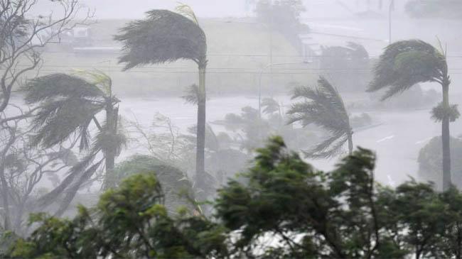 cyclone bulbul