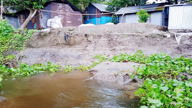 dakatia chandpur