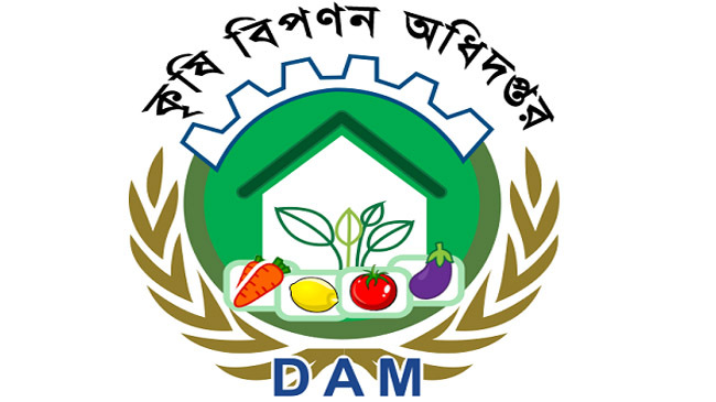 dam logo 1