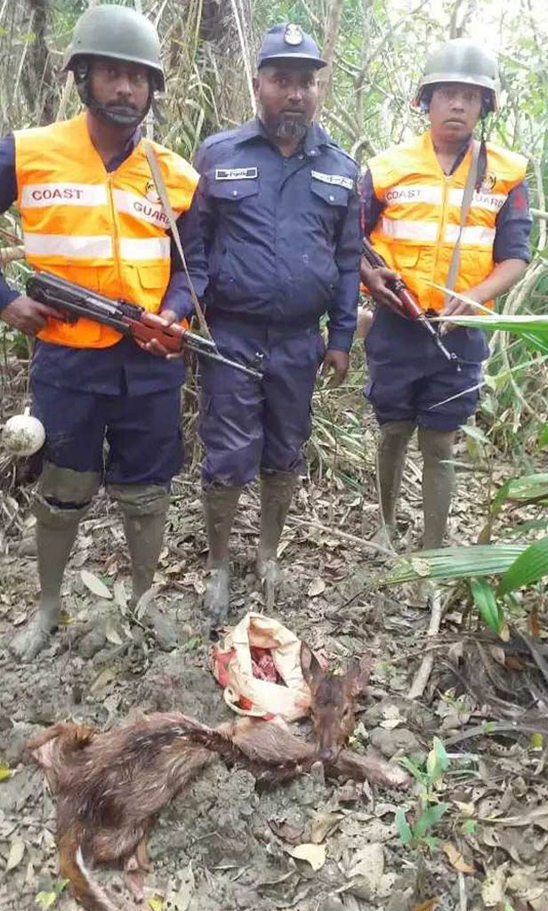 deer head and skin recovered in the sundarbans again 02