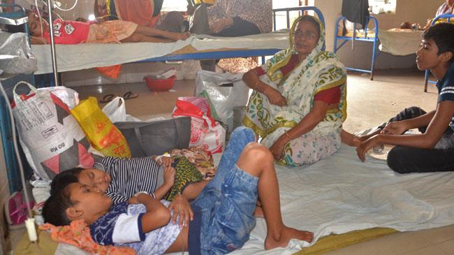 dengue 2019